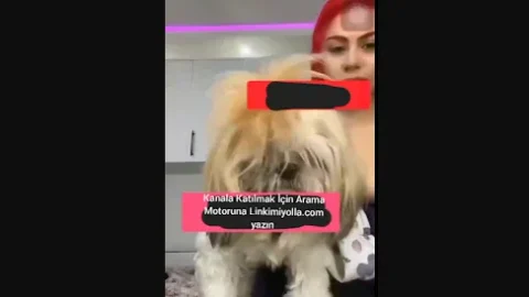 Tiktokçu Gözdenin Canlı yayında memesi açılıyor Silinmeden izleyin